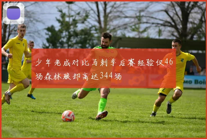 少年老成对比马刺季后赛经验仅46场森林狼却高达344场