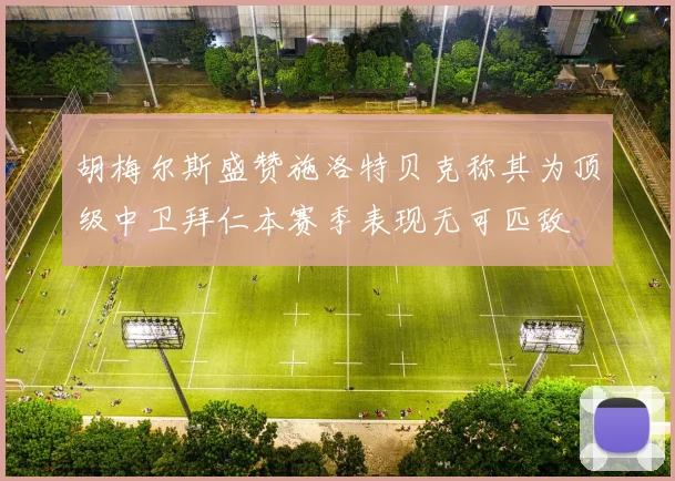 胡梅尔斯盛赞施洛特贝克称其为顶级中卫拜仁本赛季表现无可匹敌