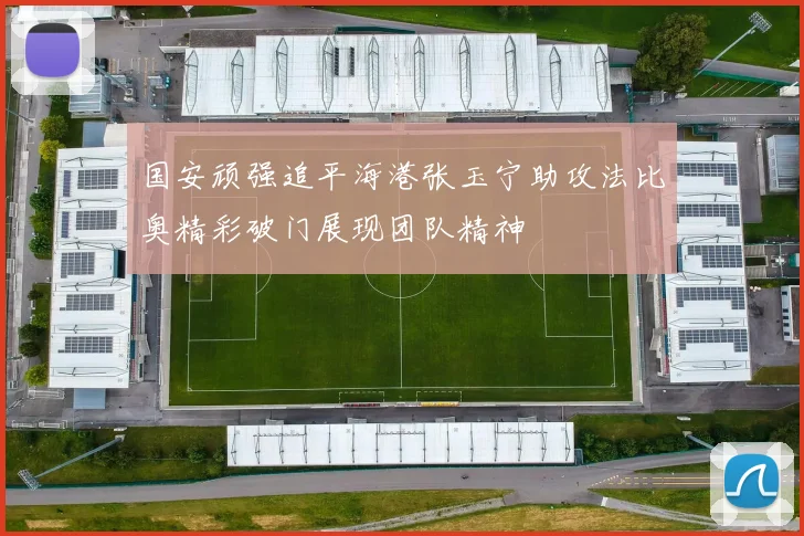 国安顽强追平海港张玉宁助攻法比奥精彩破门展现团队精神